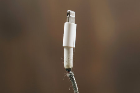 Faulty phone charging wire, wire insulation destroyed. Close-up