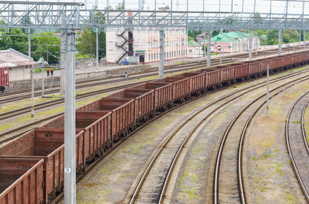 A train is seen moving down train tracks that run parallel to a dense forest, with trees lining the tracks on both sides.の写真素材