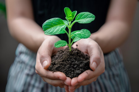 A person is holding a plant in their hands, showing care and connection with nature.の素材