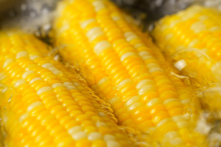 Fresh corn on the cob being grilled in a hot pan, sizzling and caramelizing to perfection.