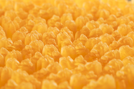 Yellow marmalade figures, chewing marmalade, fruit marmalade.の写真素材