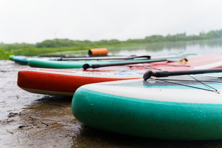 Multiple colorful stand up paddle boards are neatly arranged in a row along the shoreline, ready for use in the water.の写真素材