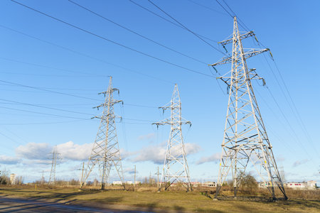 Video footage showing high voltage pylons in a field, surrounded by flowers and plants.
