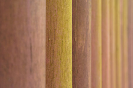 Detailed view of a row of wooden poles, showing their texture and pattern as they stand in a straight line like a fence.の写真素材