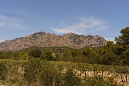 A view of the iconic Montserrat Mountains in Spain from a field in the foothills. The rugged peaks stand tall against a clear blue sky.の写真素材