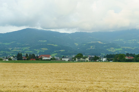 Rolling hills meet a serene village nestled among lush greens, while golden fields sway gently in...