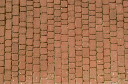 A beautifully arranged brick pathway stretches across the ground, showing its earthy tones and textures. Sunlight enhances the warmth of the bricks, inviting leisurely walks.の写真素材