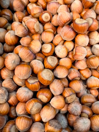 Bountiful piles of freshly harvested hazelnuts create a stunning visual in an autumn market. The warm hues reflect the seasonal bounty, inviting everyone to enjoy the rich flavors.の写真素材
