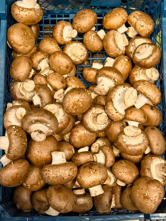 A vibrant collection of freshly picked brown mushrooms fills a blue basket. Their rich texture and earthy tones create an inviting display, ready for culinary adventures.の写真素材