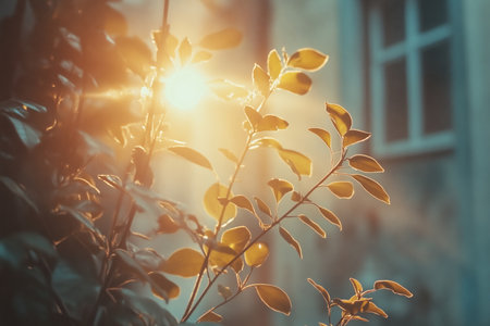 Sunlight filters gently through fresh green leaves, casting a warm glow that illuminates the surrounding area. The essence of springtime fills the air with vibrant energy.の素材