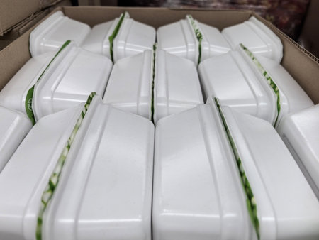 White food containers are organized in a delivery box.の写真素材