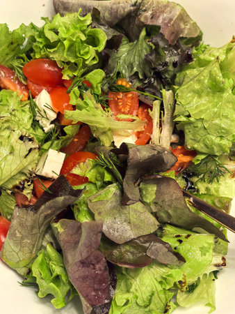 A colorful salad made with crisp greens, juicy tomatoes, and a sprinkle of herbs is presented in a bowl. Sunlight enhances the vibrant colors, creating an inviting dish for lunchtime.の写真素材