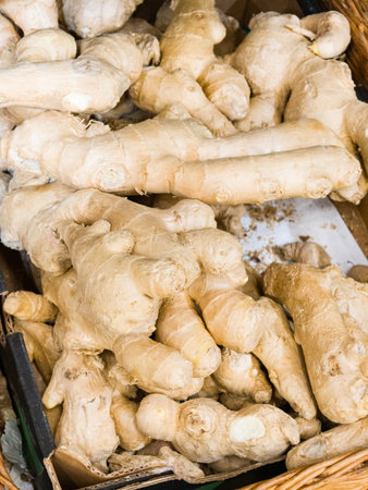 A collection of fresh ginger roots showing their unique shapes and textures. The earthy tones...