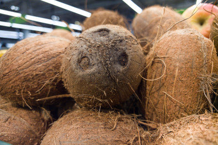 A vibrant display of coconuts rests in a market, showing their earthy textures and natural hues. The...