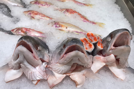 A colorful assortment of fresh fish is arranged on ice at a vibrant market. The display features...