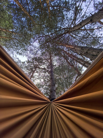 A cozy hammock stretches between two trees, inviting relaxation while sunlight filters through the foliage. The canopy above reveals a peaceful view of vibrant green leaves and the open sky.の写真素材
