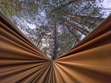 A cozy hammock sways gently between towering trees in a peaceful forest, inviting rest and relaxation under a soft canopy of green leaves, accompanied by the soothing sounds of nature.の写真素材