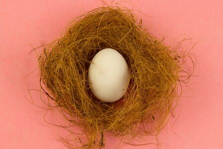 In the nest there is one white chicken egg on a pink background. place for text, easter holiday...