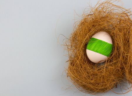one colored egg on a blue background in a nest of copyspace for text.