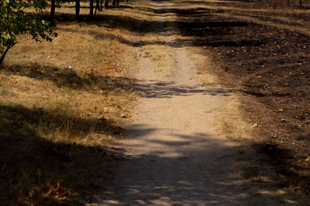 Scorched and dry grass, in the summer heat, in the middle of the road that shares the fire....