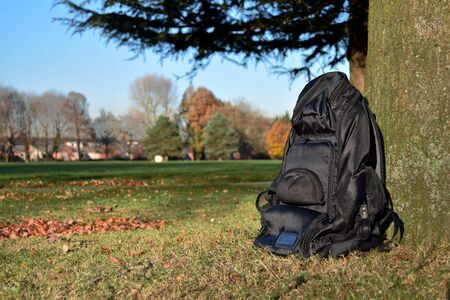 Backpack in the park under a tree in a sunny day.