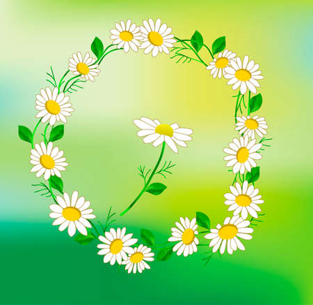 Wreath with chamomileのイラスト素材