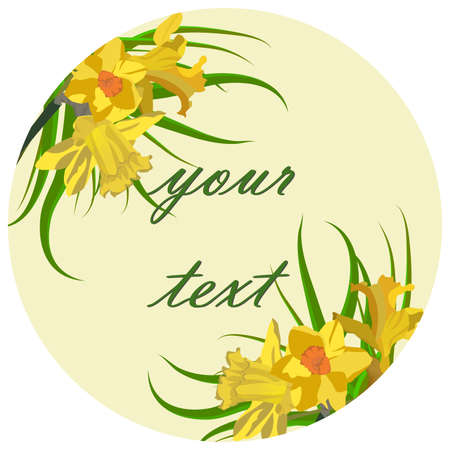 Floral card, narcissus. Beautiful Spring Floral Background Postcardのイラスト素材