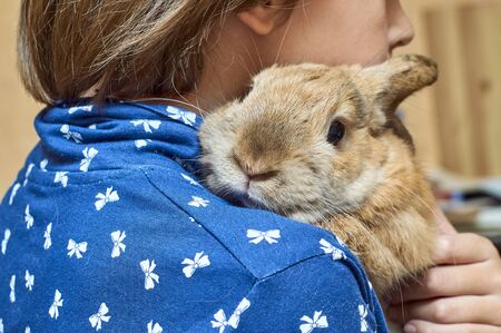 Child holding a funny rabbit on her shoulderの写真素材