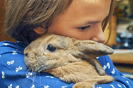 Schoolgirl holding a funny rabbit on her shoulderの写真素材