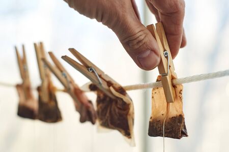 Male hands are hanging used tea bags as washed clothes for drying on the clothesline with clothes pegsの写真素材