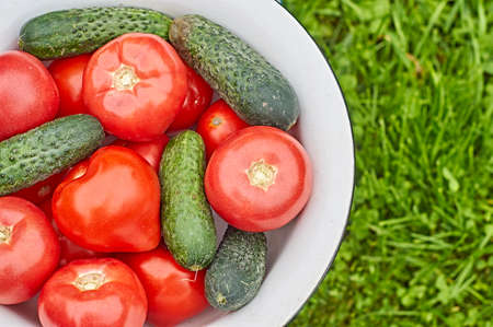 Bowl of fresh vegetables on the green grass backgroundの写真素材