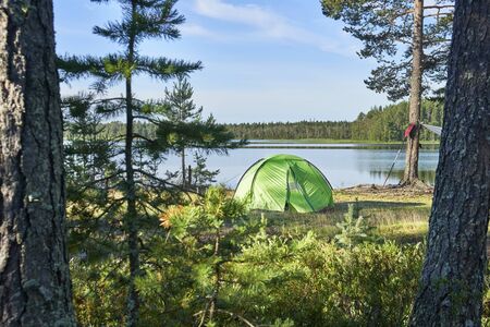 Summer landscape with a hiking tent standing on the lake shore in the pine forest at sunriseの写真素材