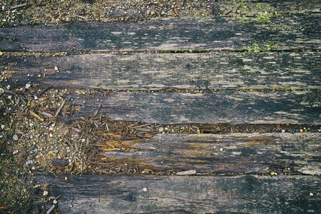 Decayed wooden boards of old river bridgeの写真素材