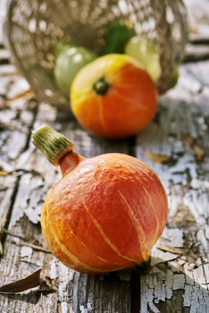 Orange pumpkin and vegetables on the old wooden boards with a peeling paintの写真素材