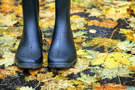 Black rubber boots standing on asphalt road covered with fallen maple leavesの写真素材