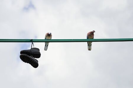 Shoes hang on an electric wire tied on laces and two pigeons sit on the street of the city