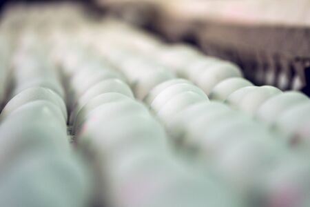 Rows of white chicken eggs on the market in the cardboard packaging. Shallow deoth of field photoの写真素材