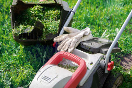 Lawn mower with protective gloves and a grass container full of trimmed grass in the garden