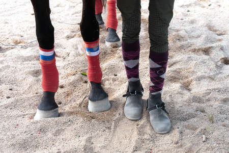 Horse and human feet stand on the sand of a hippodrome. Comparison of human and horse legs.