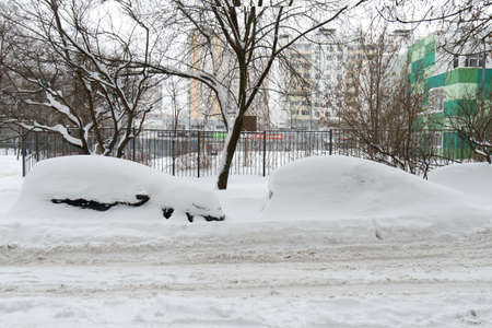 Cars covered with snow after a hard blizzard in winterの写真素材