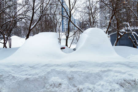 Cars covered with snow after a hard blizzard in winterの写真素材