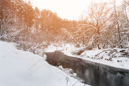 Winter landscape with river and coniferous forestの写真素材
