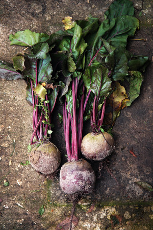 Raw beetroots with tops on the cement background