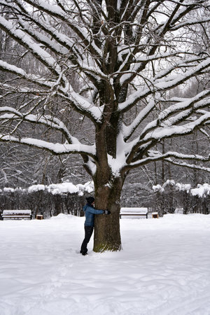 Woman hugs a trunk of a large oak in a snowy winter parkの写真素材