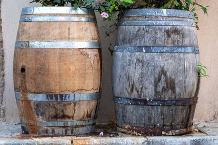 Wooden barrels with plants on the Tel Aviv streetの写真素材