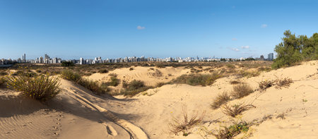 Panoramic view of sand desert in the town Rishon Lezion in Israelの写真素材