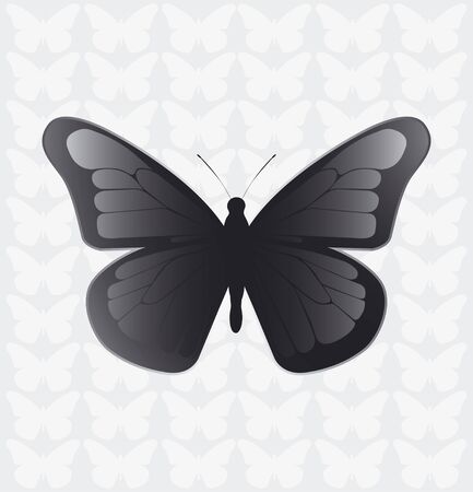Butterflyのイラスト素材