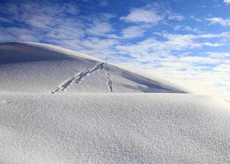  winter landscape with a dune and the skyの写真素材