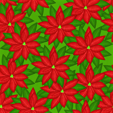 Abstract seamless background with red flowers blooming poinsettiaの写真素材