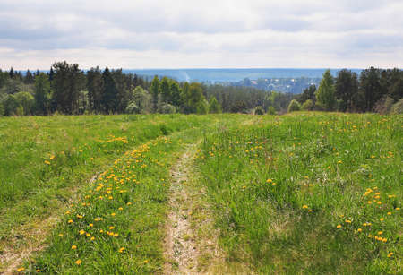May rural landscape with a country road and dandelionsの写真素材